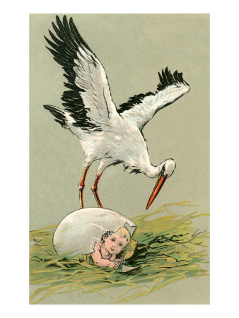 Stork with Hatching Baby Giclee Print Stork with Hatching Baby Giclee Print
