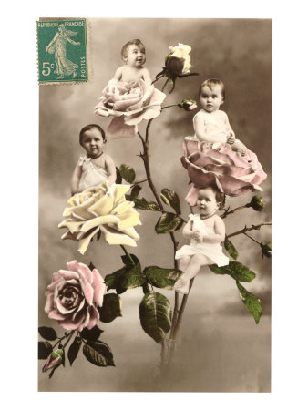 Babies in Roses Giclee Print Babies in Roses Giclee Print