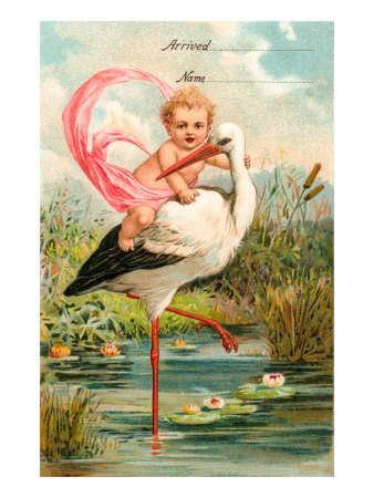 Baby Riding Stork, Announcement Giclee Print Baby Riding Stork, Announcement Giclee Print
