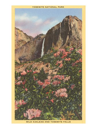 Azaleas, Yosemite, California Giclee Print Azaleas, Yosemite, California Giclee Print