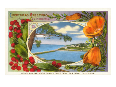 California Christmas, Torrey Pines Giclee Print California Christmas, Torrey Pines Giclee Print