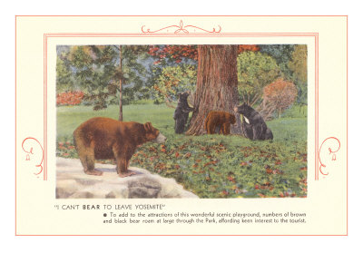 Bears at Yosemite, California Giclee Print Bears at Yosemite, California Giclee Print