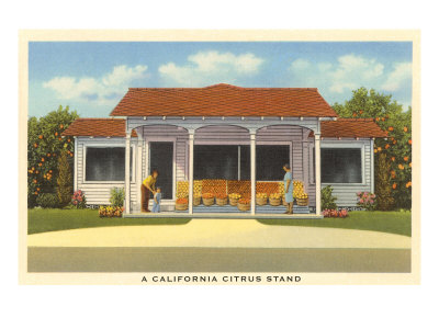 California Citrus Stand Giclee Print California Citrus Stand Giclee Print