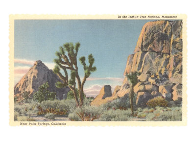 Joshua Trees Giclee Print Joshua Trees Giclee Print