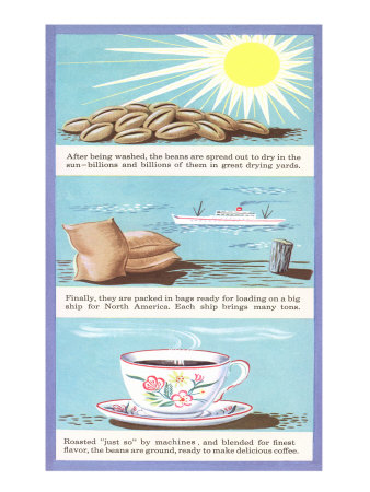 Life of the Coffee Bean, Part 2 Giclee Print Life of the Coffee Bean, Part 2 Giclee Print