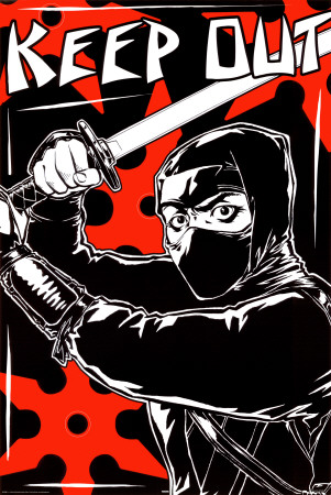 Ninja Poster Ninja Poster