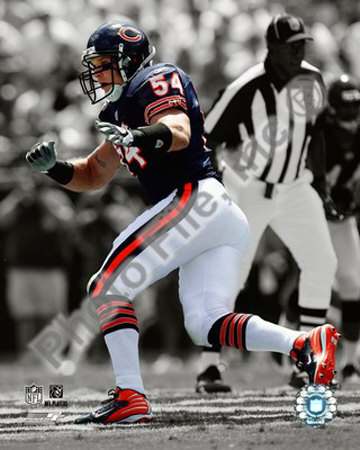 Brian Urlacher Photograph Brian Urlacher Photograph