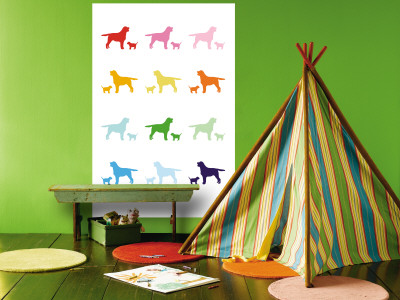 Rainbow Labs Wall Mural Rainbow Labs Wall Mural