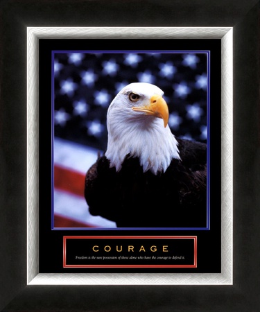 Courage: Eagle and Flag Framed Print Courage: Eagle and Flag Framed Print