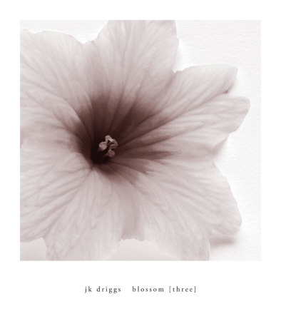 Blossom III Print Blossom III Print