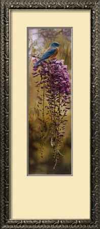 Springtime Blues Framed Print Springtime Blues Framed Print