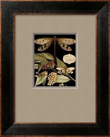 Whimsical Dragonfly on Black I Framed Print Whimsical Dragonfly on Black I Framed Print
