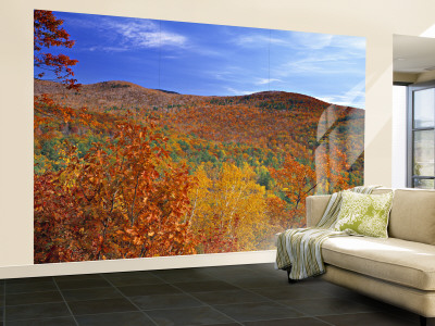 Moultonborough, New Hampshire, USA Wall Mural – Large Moultonborough, New Hampshire, USA Wall Mural – Large