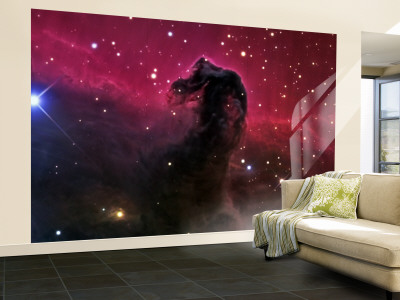 The Horsehead Nebula Wall Mural – Large The Horsehead Nebula Wall Mural – Large
