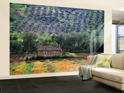 scenic wallpaper murals. Spain Wall Mural