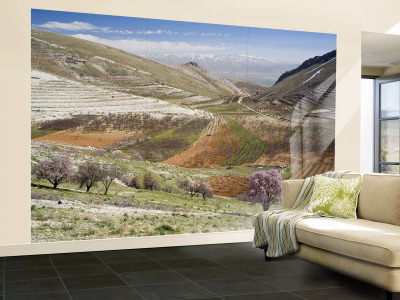 Niha, Bekaa Valley, Lebanon Wall Mural – Large Niha, Bekaa Valley, Lebanon Wall Mural – Large