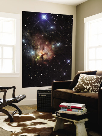 The Northern Trifid Nebula Wall Mural The Northern Trifid Nebula Wall Mural