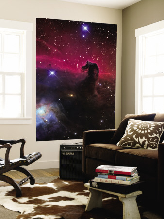 The Horsehead Nebula Wall Mural The Horsehead Nebula Wall Mural