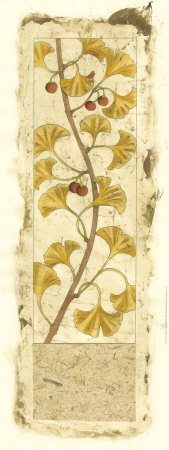 Golden Ginkgo II Print Golden Ginkgo II Print