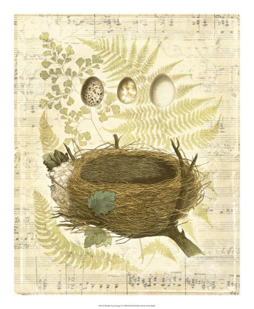Melodic Nest and Eggs II Print Melodic Nest and Eggs II Print
