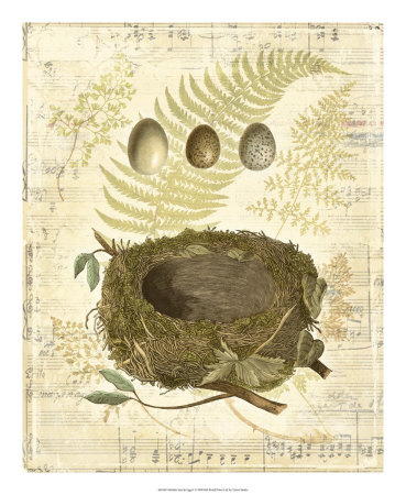 Melodic Nest and Eggs I Print Melodic Nest and Eggs I Print