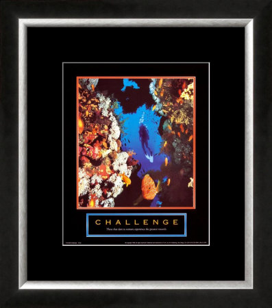 Challenge: Diver Framed Print Challenge: Diver Framed Print