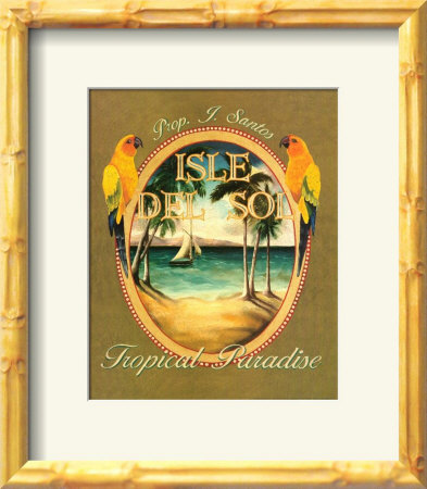 Isle del Sol Framed Print Isle del Sol Framed Print