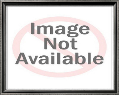 Special Bond Framed Print Special Bond Framed Print