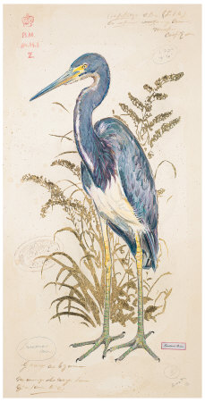Tricolor Heron Print Tricolor Heron Print
