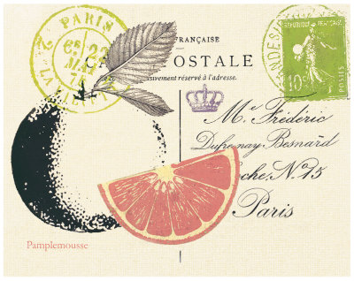 Grapefruit Letter Print Grapefruit Letter Print