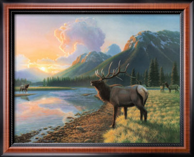 Elk I Framed Print Elk I Framed Print