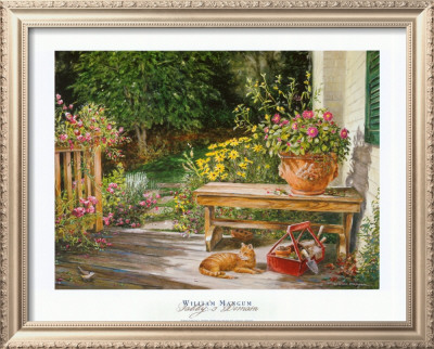 Tabby's Domain Framed Print Tabby's Domain Framed Print