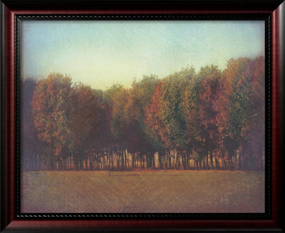 Nature's Bliss II Framed Print Nature's Bliss II Framed Print