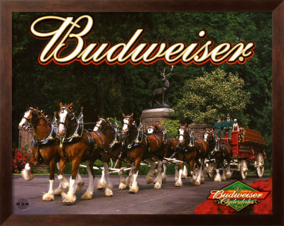 Budweiser Framed Poster Budweiser Framed Poster