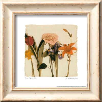 Tre Fiori IV Framed Print Tre Fiori IV Framed Print