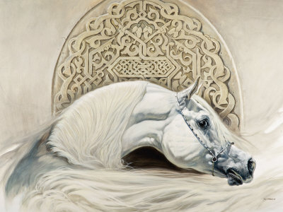 Arabian Pride Print Arabian Pride Print
