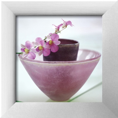 Orchids Framed Print Orchids Framed Print