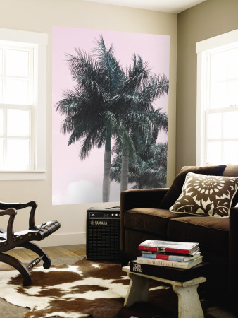 Areca I Other Areca I Other