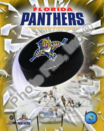 Florida Panthers Logo Photograph Florida Panthers Logo Photograph