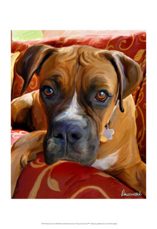 Harry Boxer Print Harry Boxer Print
