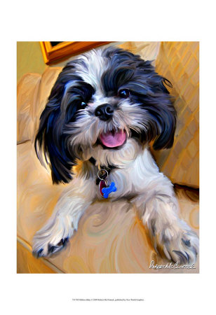Shihtzu Baby Print Shihtzu Baby Print