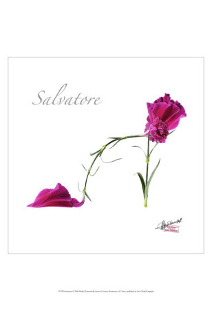 Salvatore Print Salvatore Print