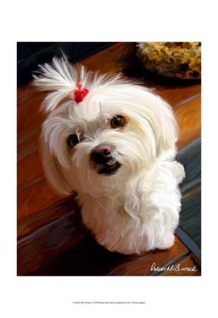 Mini Maltese Print Mini Maltese Print