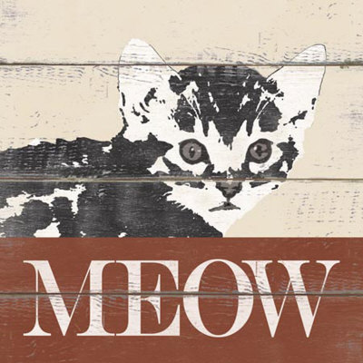 Meow Print Meow Print