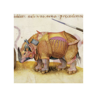 Rhino Giclee Print Rhino Giclee Print