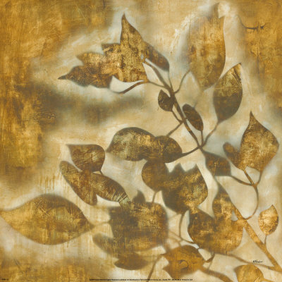 Organic Harmony II Print Organic Harmony II Print