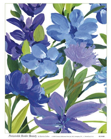 Periwinkle Border Beauty Print Periwinkle Border Beauty Print