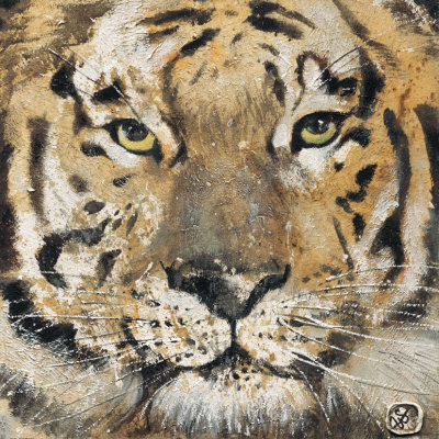 Tiger Print Tiger Print