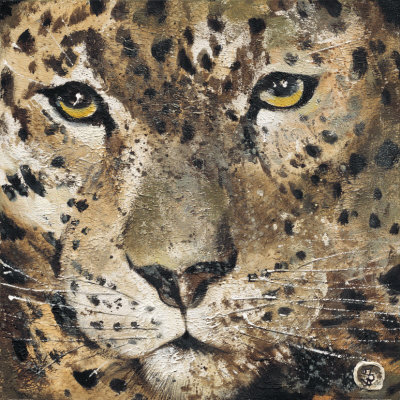 Leopard Print Leopard Print