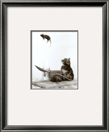 Cat and Mouse Framed Print Cat and Mouse Framed Print